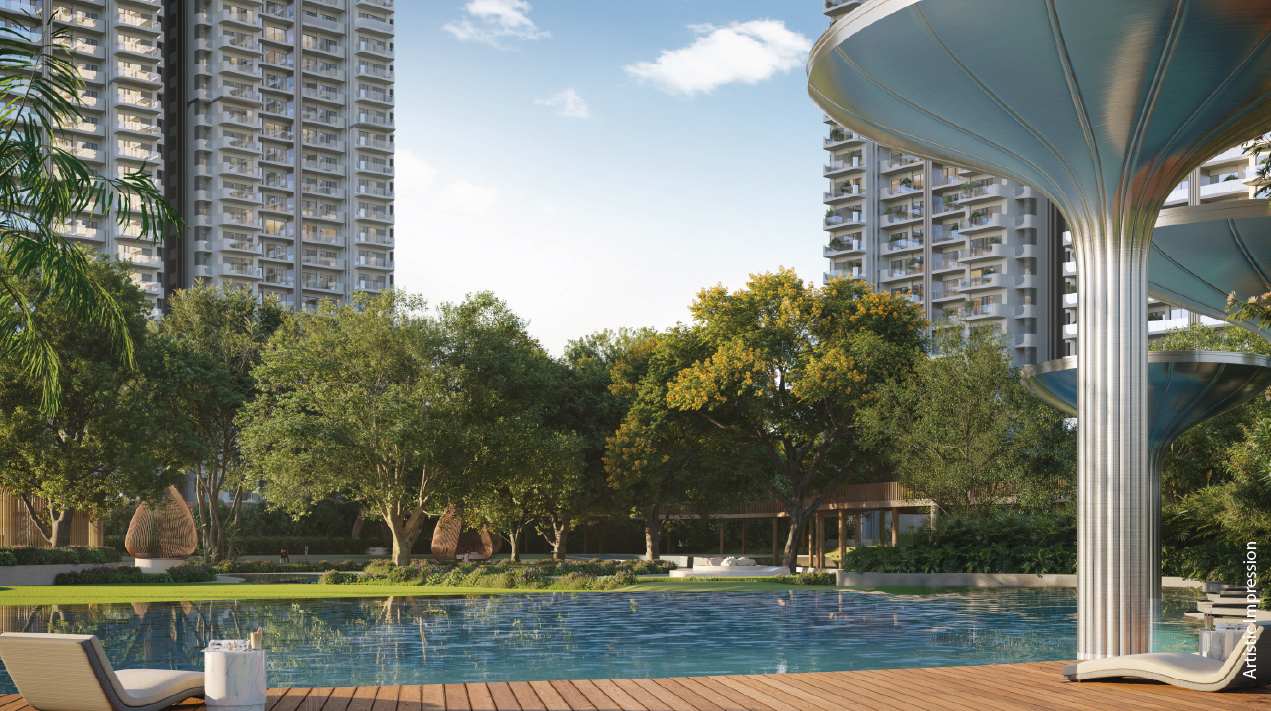 Resort Lap Pool